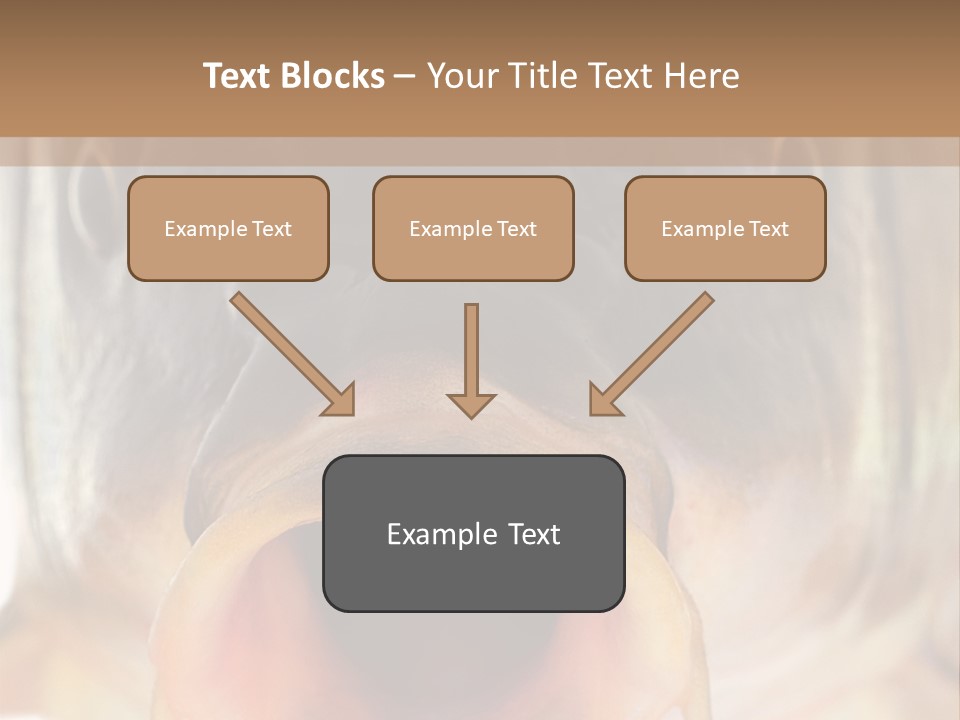 Woman Beach Water PowerPoint Template