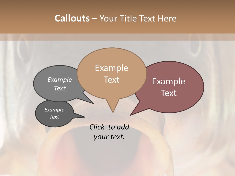 Woman Beach Water PowerPoint Template