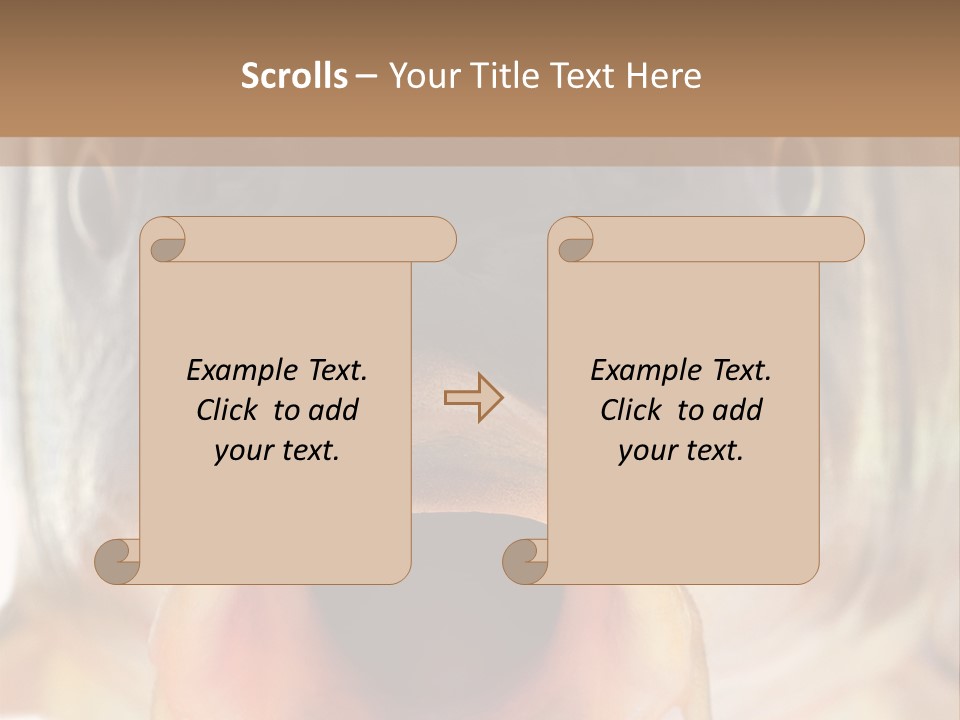 Woman Beach Water PowerPoint Template