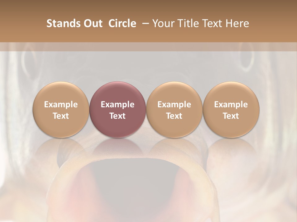 Woman Beach Water PowerPoint Template