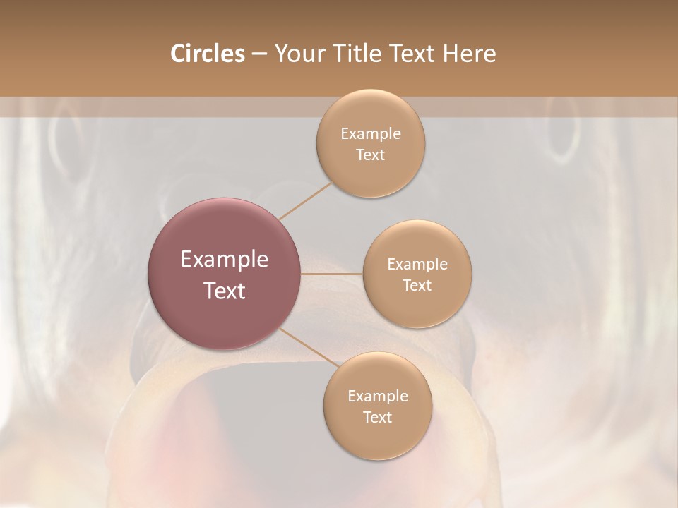 Woman Beach Water PowerPoint Template