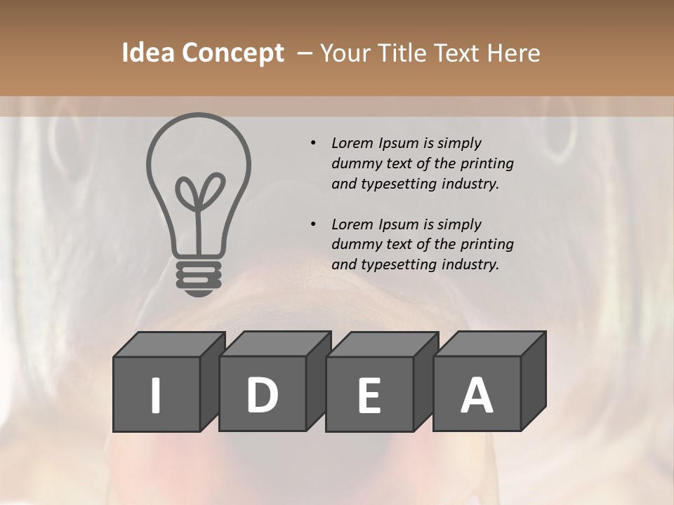 Woman Beach Water PowerPoint Template