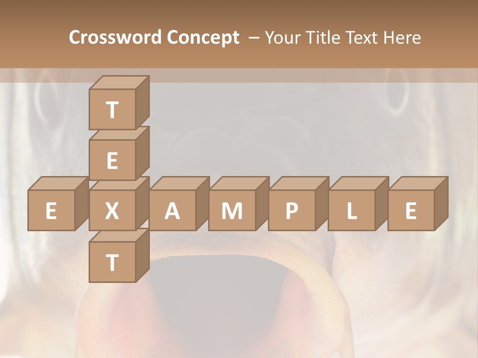 Woman Beach Water PowerPoint Template