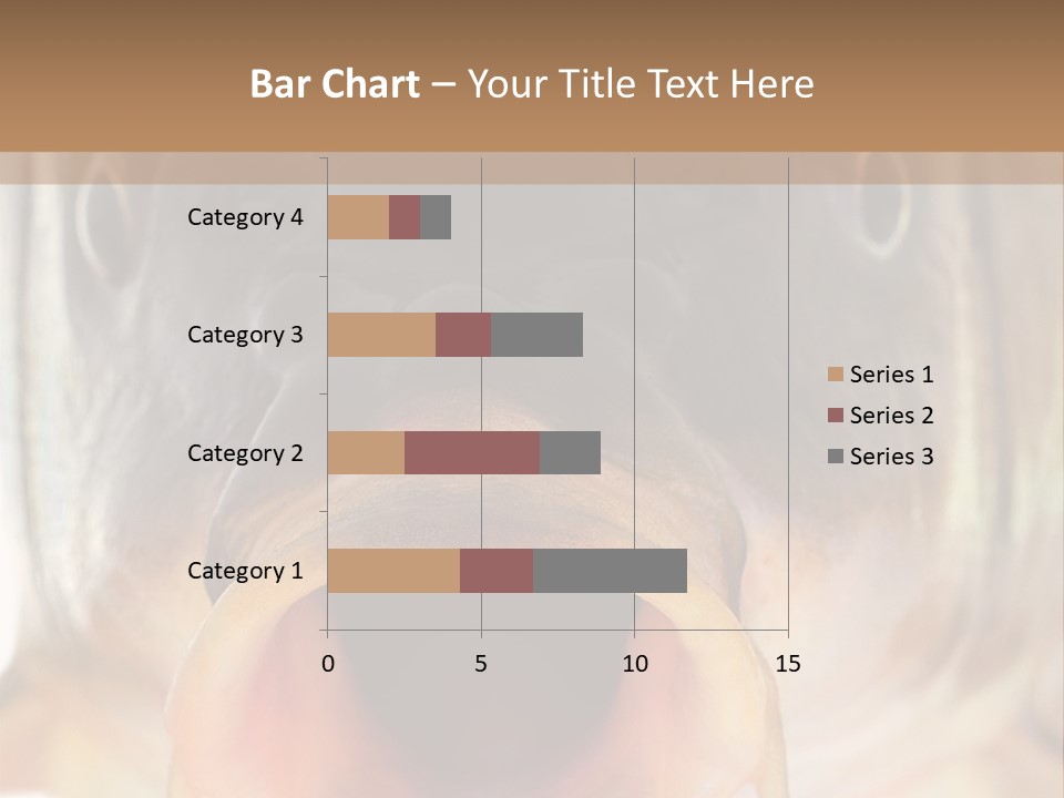 Woman Beach Water PowerPoint Template