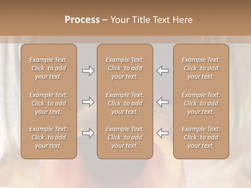 Woman Beach Water PowerPoint Template