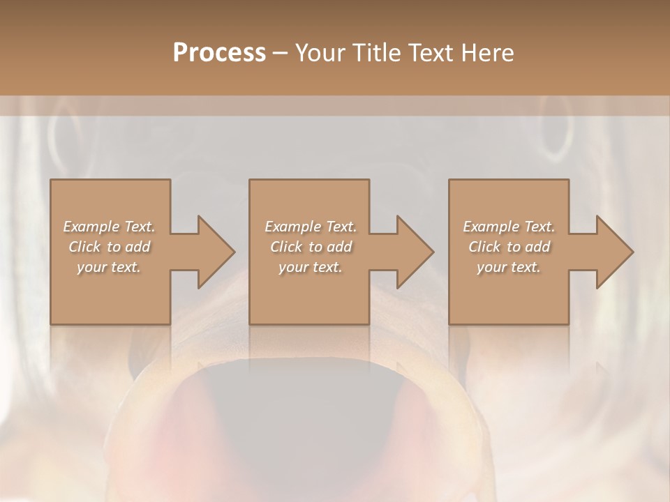 Woman Beach Water PowerPoint Template