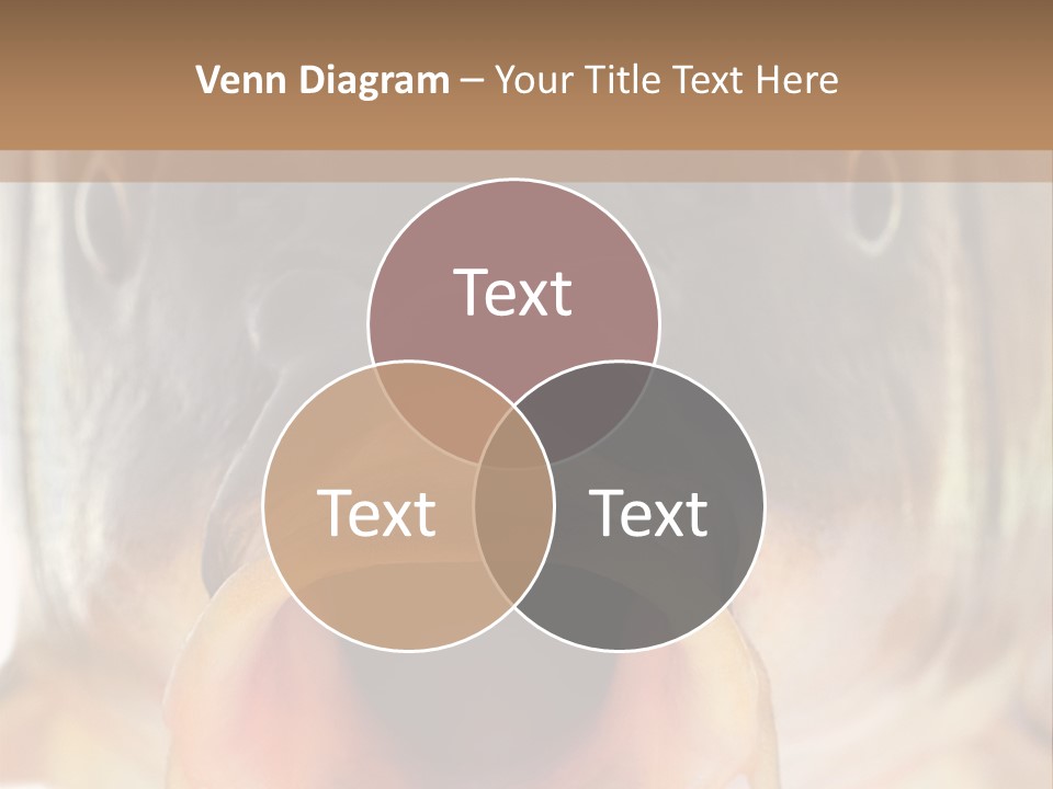 Woman Beach Water PowerPoint Template