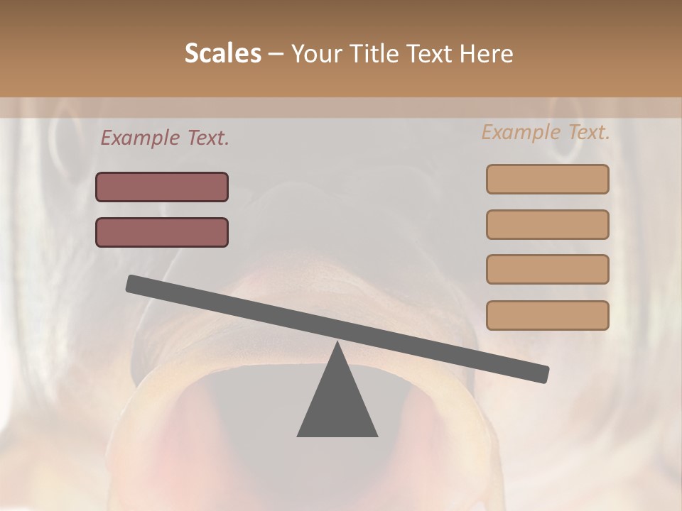 Woman Beach Water PowerPoint Template