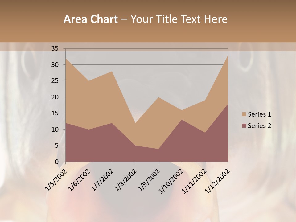 Woman Beach Water PowerPoint Template