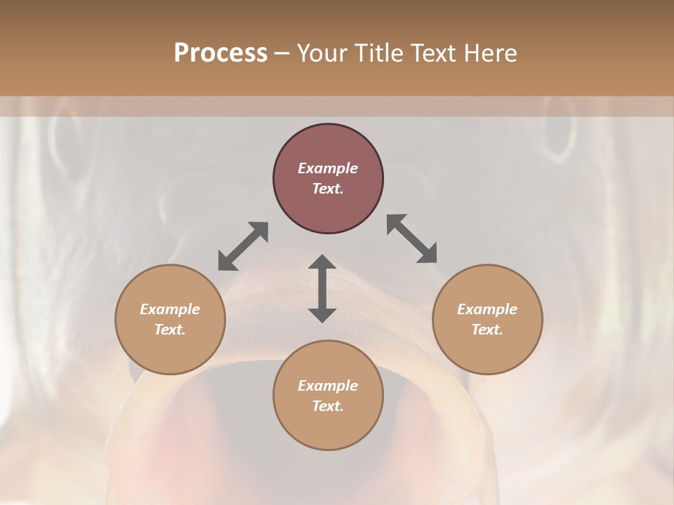 Woman Beach Water PowerPoint Template