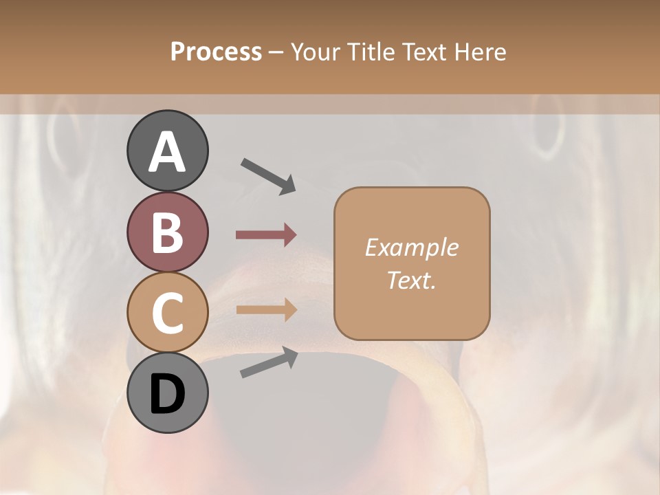 Woman Beach Water PowerPoint Template