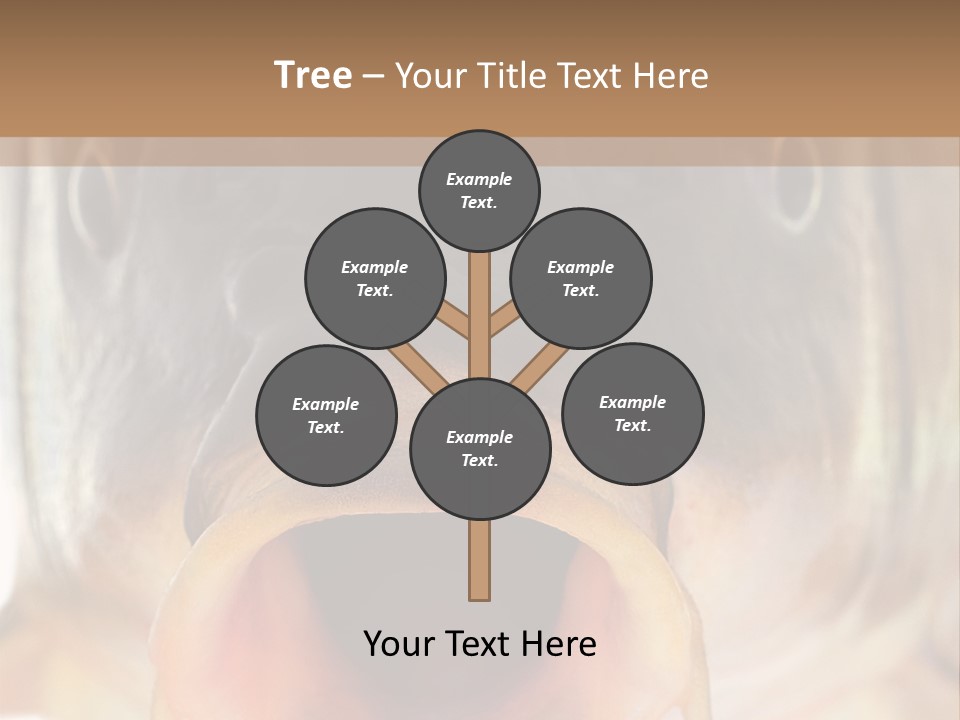 Woman Beach Water PowerPoint Template