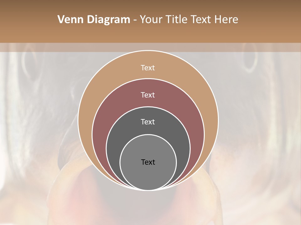 Woman Beach Water PowerPoint Template