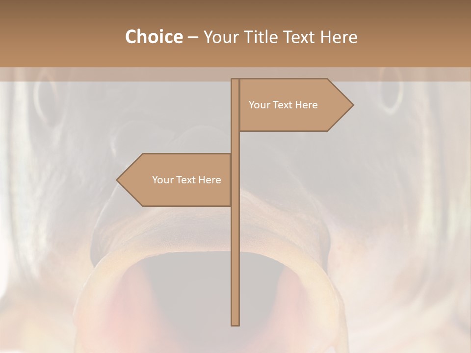 Woman Beach Water PowerPoint Template