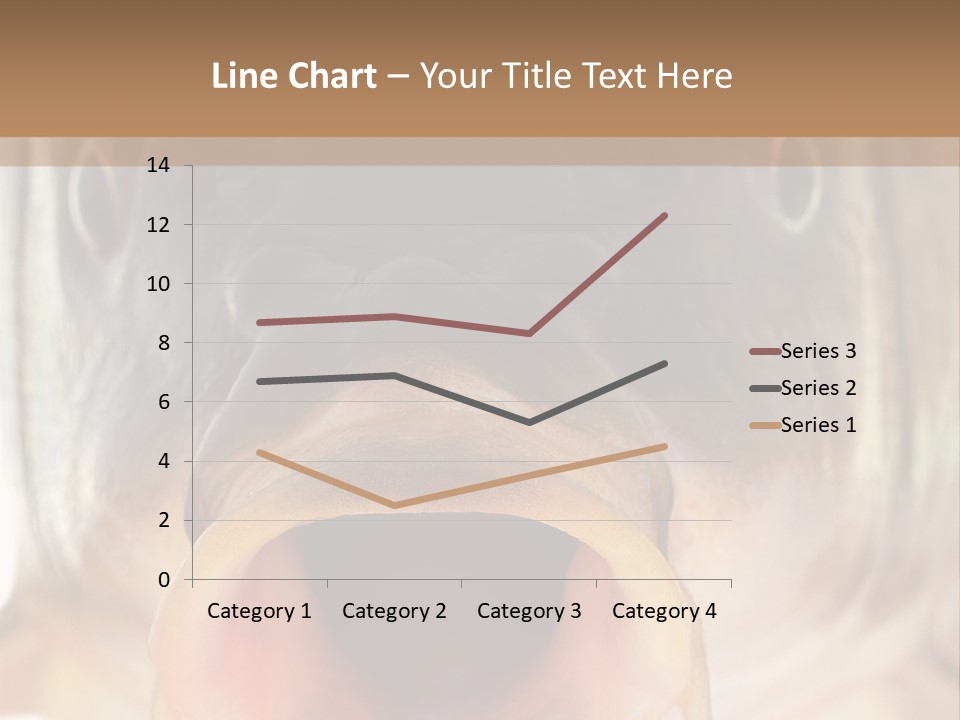 Woman Beach Water PowerPoint Template