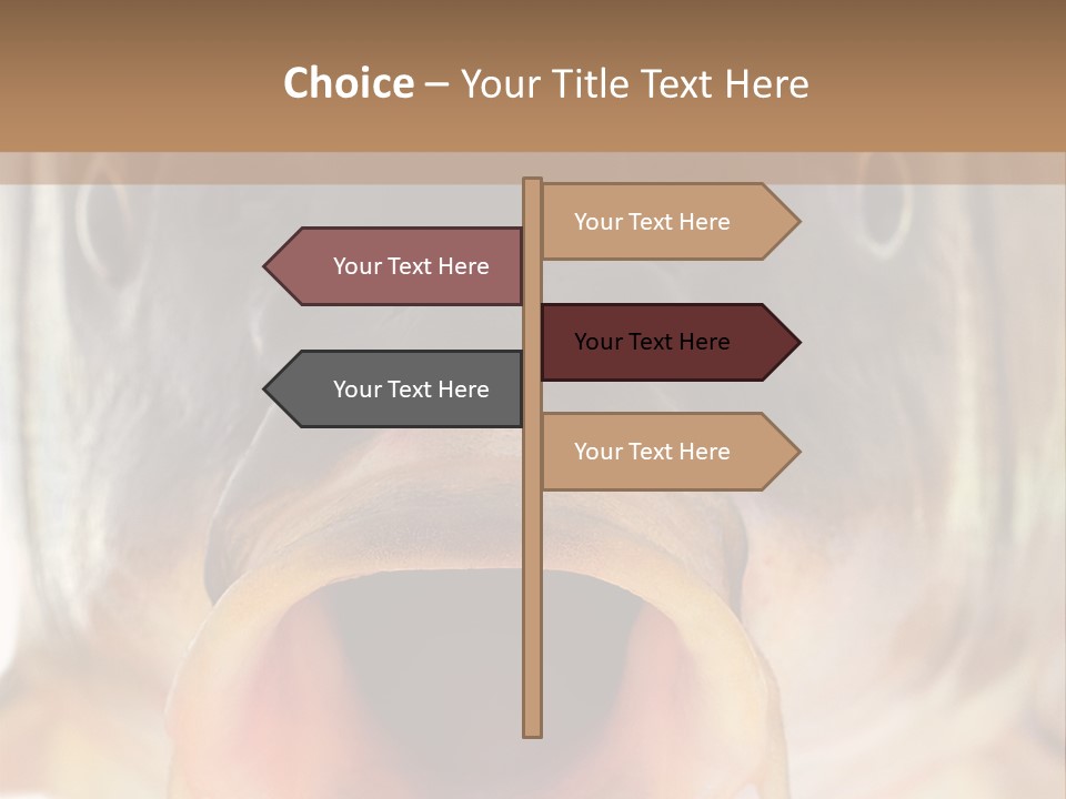 Woman Beach Water PowerPoint Template