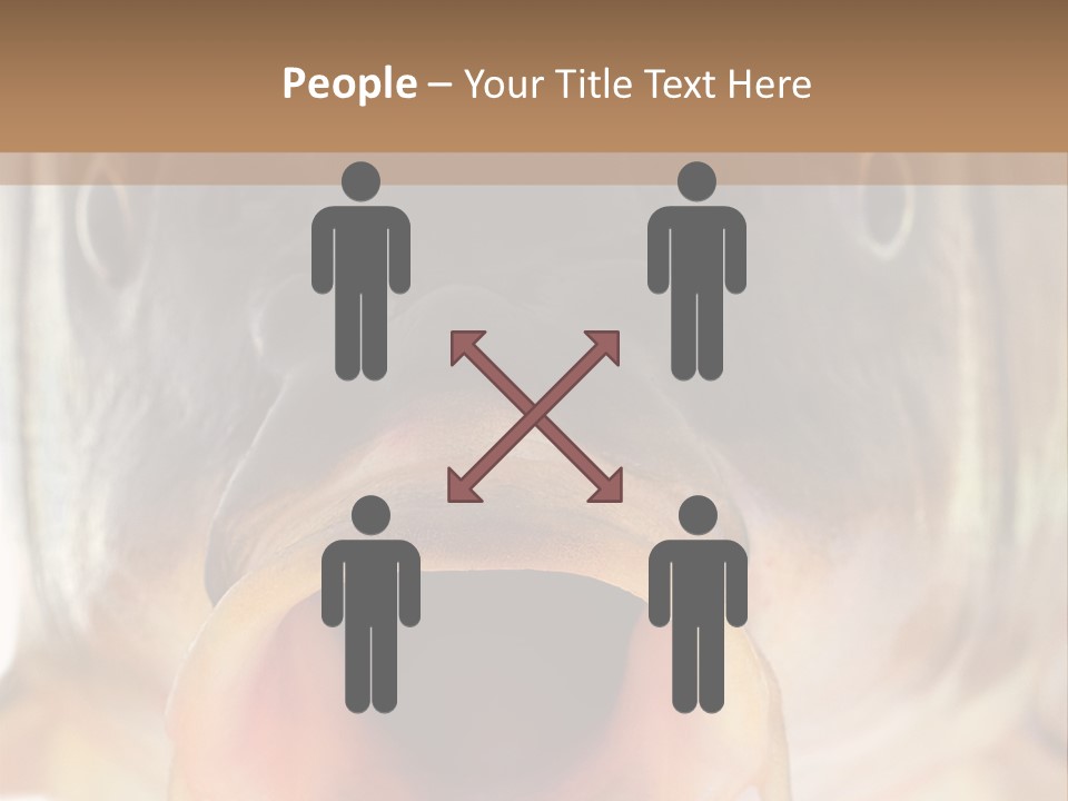 Woman Beach Water PowerPoint Template