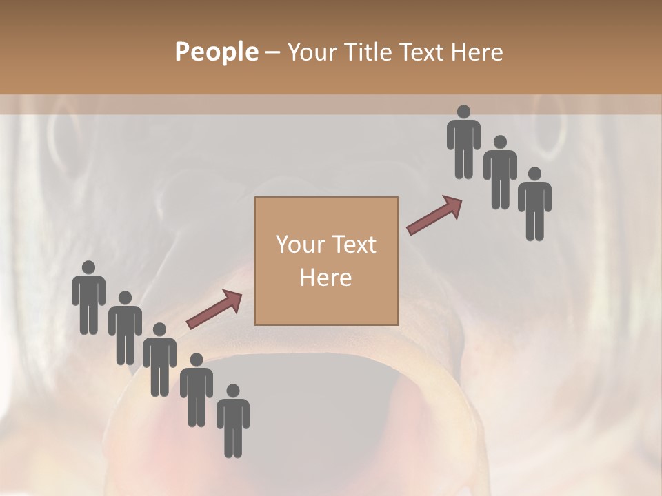 Woman Beach Water PowerPoint Template