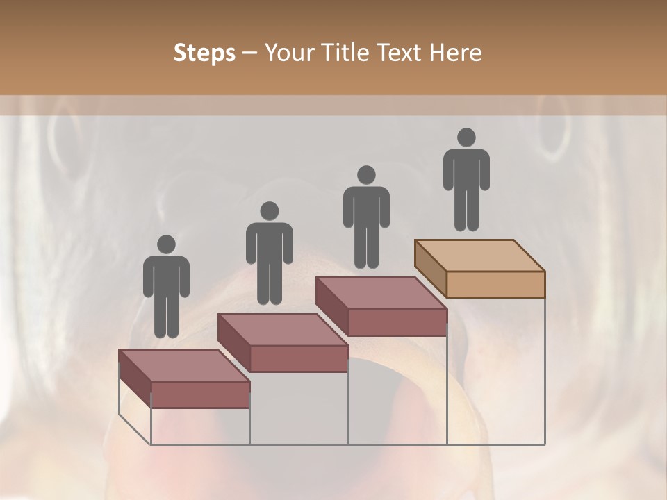 Woman Beach Water PowerPoint Template