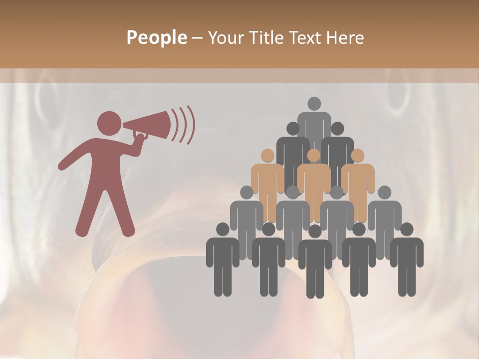 Woman Beach Water PowerPoint Template