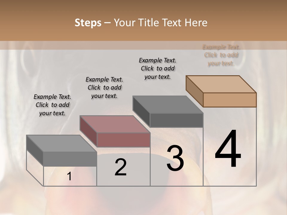 Woman Beach Water PowerPoint Template