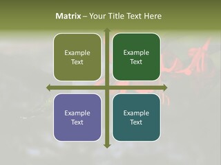 Parent Family Retirement PowerPoint Template