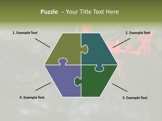 Parent Family Retirement PowerPoint Template