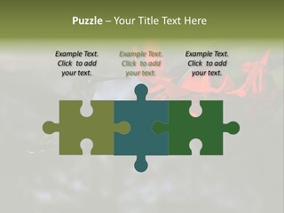 Parent Family Retirement PowerPoint Template