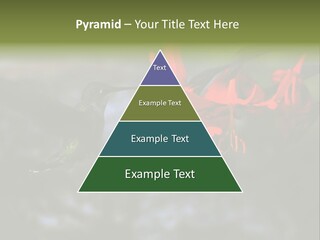 Parent Family Retirement PowerPoint Template