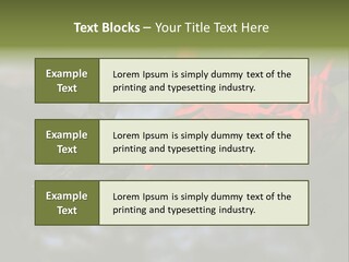Parent Family Retirement PowerPoint Template