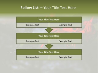 Parent Family Retirement PowerPoint Template