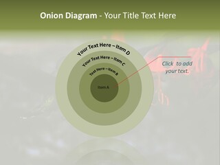 Parent Family Retirement PowerPoint Template