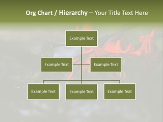Parent Family Retirement PowerPoint Template