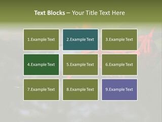 Parent Family Retirement PowerPoint Template