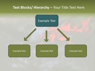 Parent Family Retirement PowerPoint Template