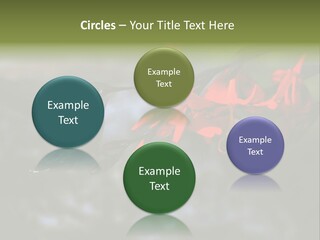 Parent Family Retirement PowerPoint Template