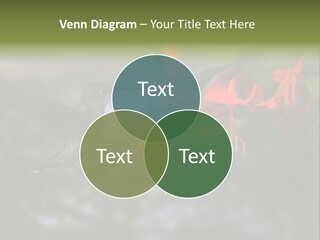 Parent Family Retirement PowerPoint Template