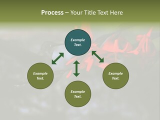 Parent Family Retirement PowerPoint Template