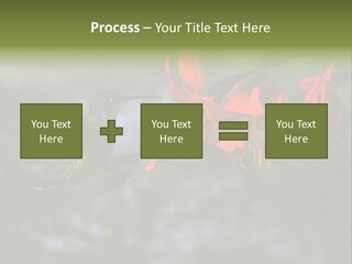 Parent Family Retirement PowerPoint Template