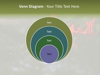 Parent Family Retirement PowerPoint Template