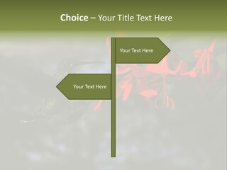 Parent Family Retirement PowerPoint Template