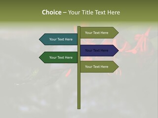 Parent Family Retirement PowerPoint Template