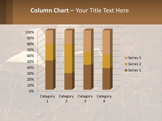 Caucasian Single Sand PowerPoint Template