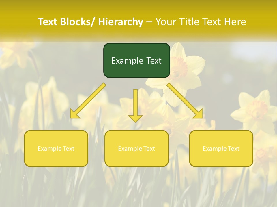 Sad Beach Sea PowerPoint Template