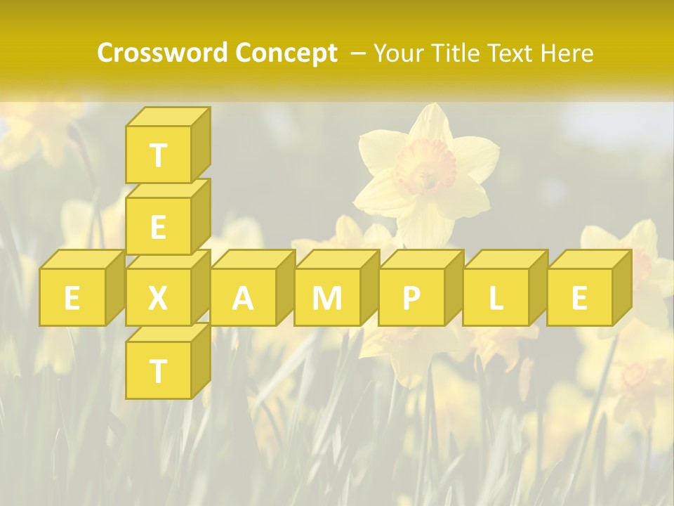 Sad Beach Sea PowerPoint Template