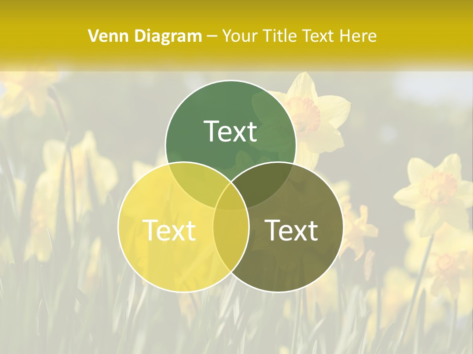 Sad Beach Sea PowerPoint Template