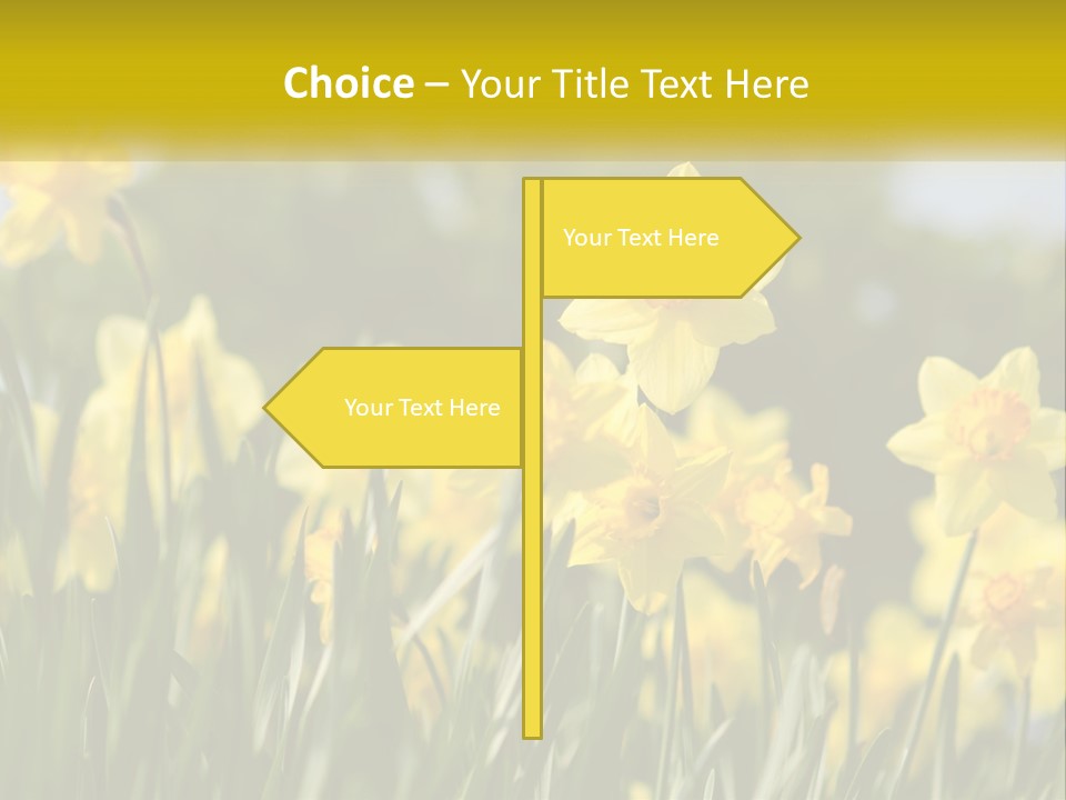 Sad Beach Sea PowerPoint Template