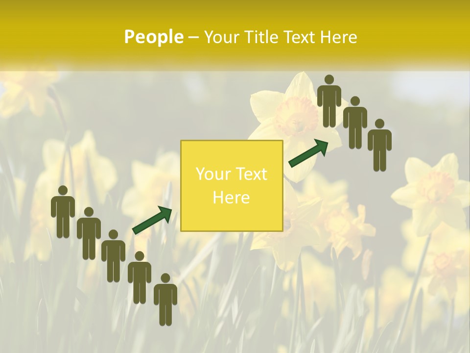 Sad Beach Sea PowerPoint Template