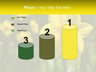 Parent Old Single PowerPoint Template