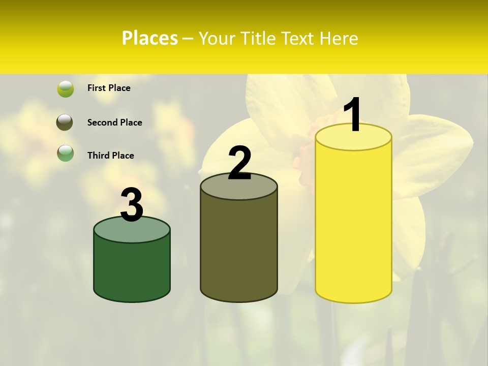 Parent Old Single PowerPoint Template